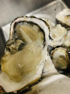 宇和島産岩牡蠣！