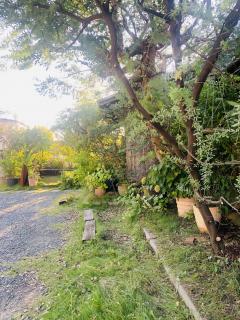 お庭がスッキリしました!