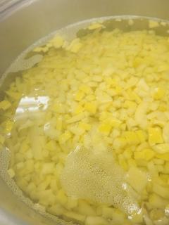 柑橘ピールの準備！