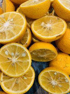 柑橘仕込みてんこ盛り!