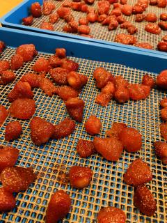 いちごのドライも作っております^_^!