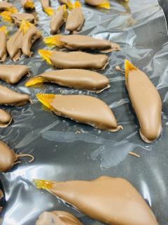 デコポン不知火＆ミルクチョコ♪